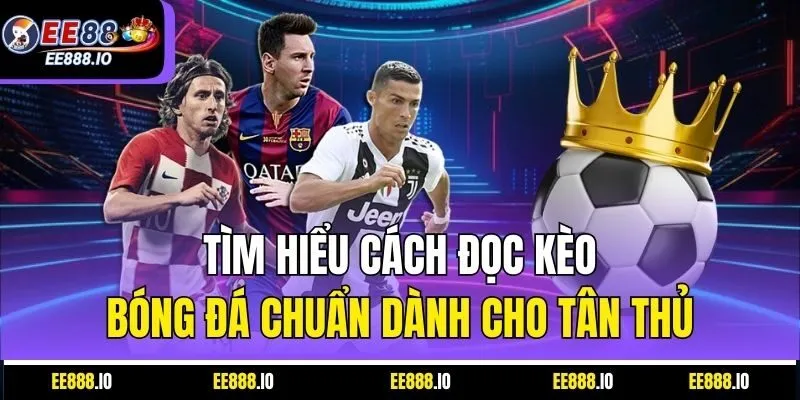 Tìm Hiểu Cách Đọc Kèo Bóng Đá Chuẩn Dành Cho Tân Thủ